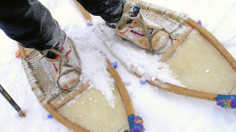 Feet in snowshoes