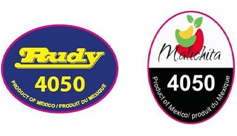 Labels for Rudy and Malachita brands