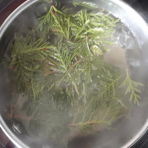 Boiling Cedar in a bucket 