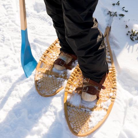 Person standing wearing snowshoes
